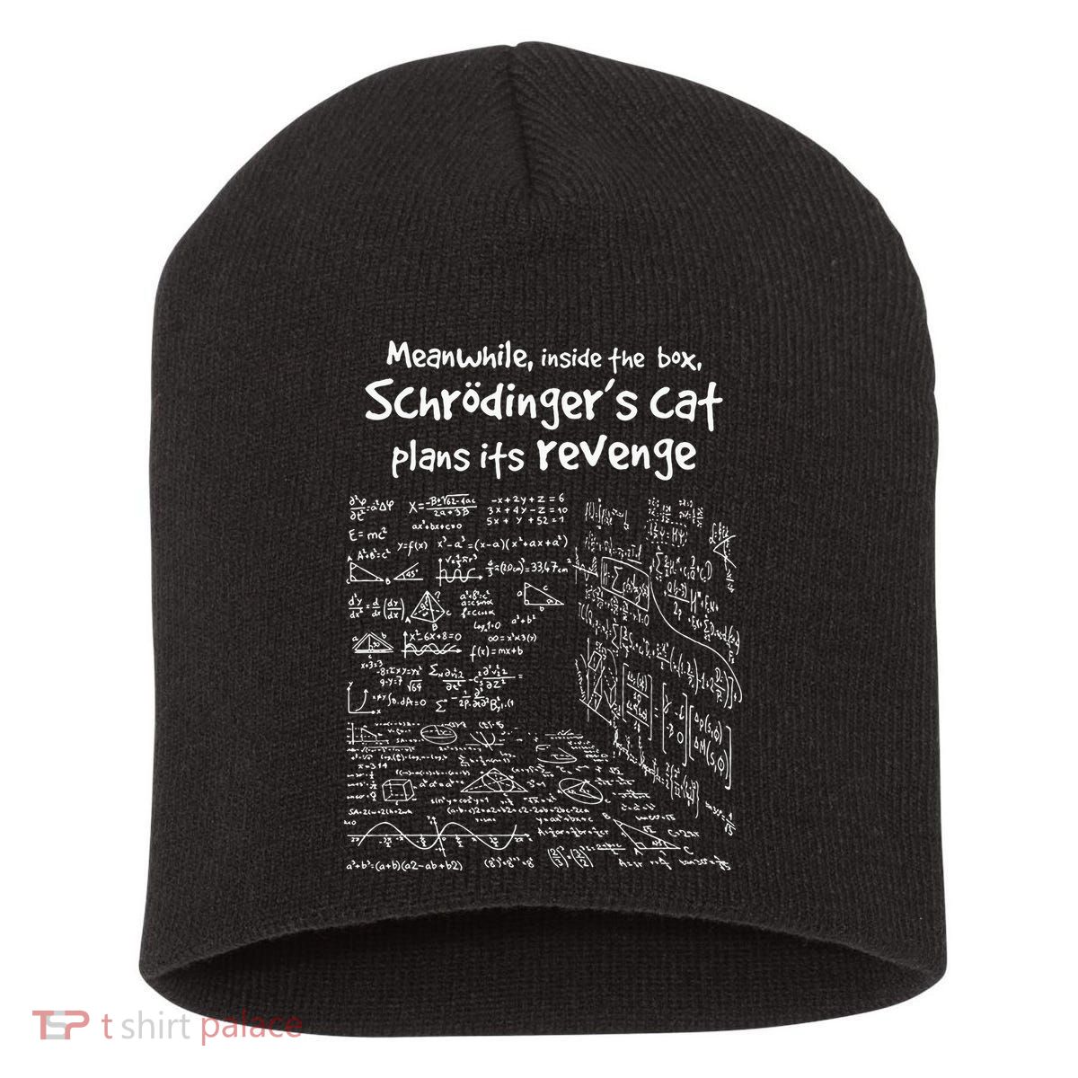 Meanwhile Inside The Box SchrodingerS Cat Plans Its Revenge Short Acrylic Beanie