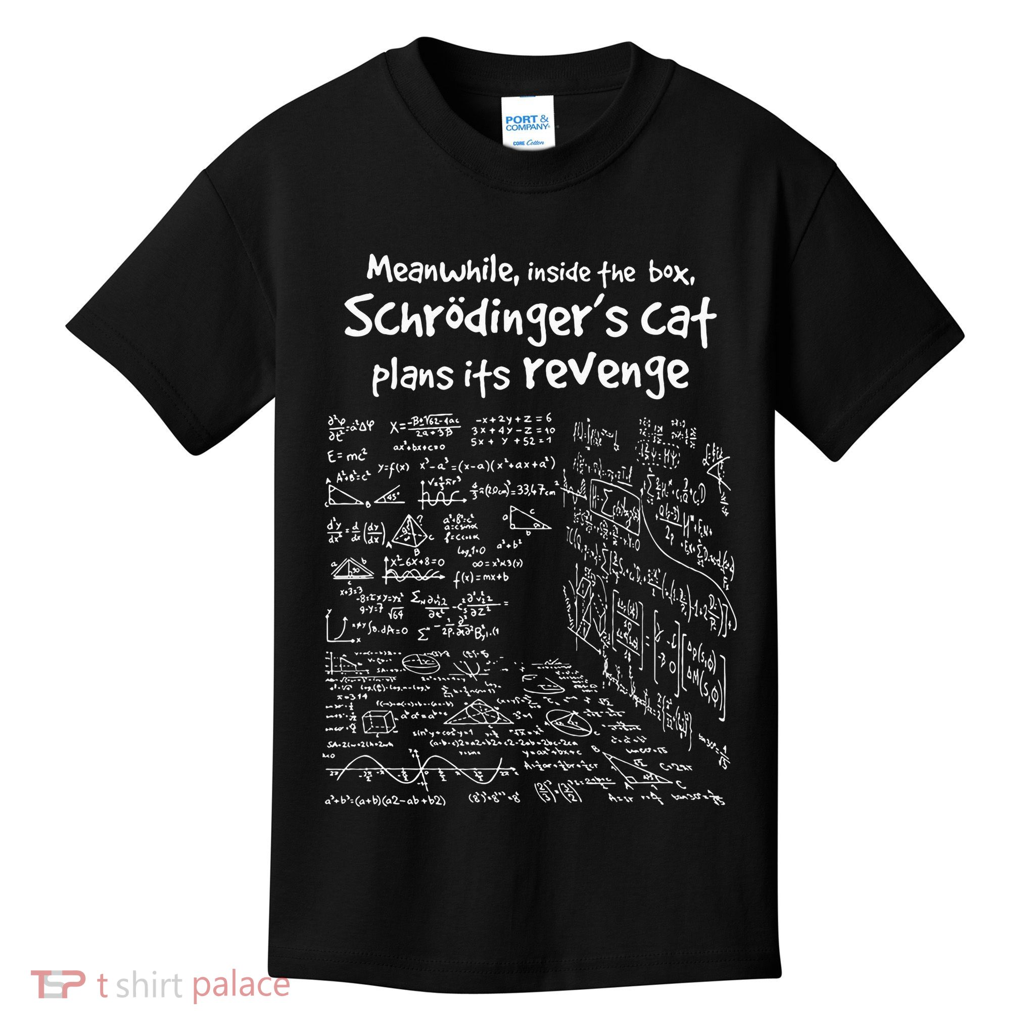 Meanwhile Inside The Box SchrodingerS Cat Plans Its Revenge Kids T-Shirt