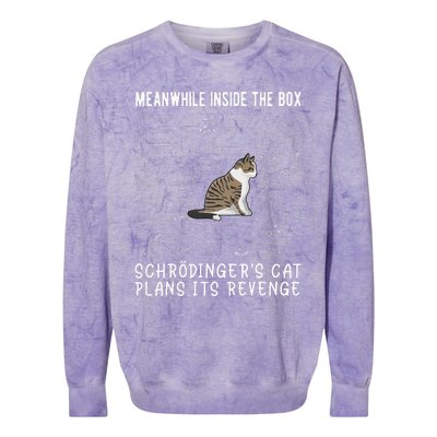 Meanwhile Inside The Box SchröDingers Cat Plans Its Revenge Colorblast Crewneck Sweatshirt