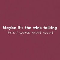 Maybe ItS The Wine Talking But I Want More Wine 16oz Travel Tumbler