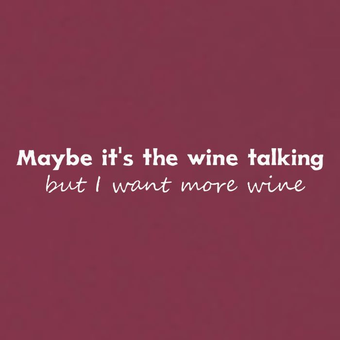 Maybe ItS The Wine Talking But I Want More Wine 16oz Travel Tumbler