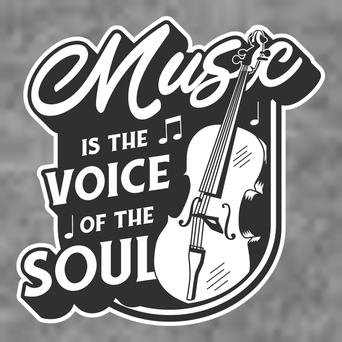 Music Is The Voice Of The Soul Womens T-Shirt