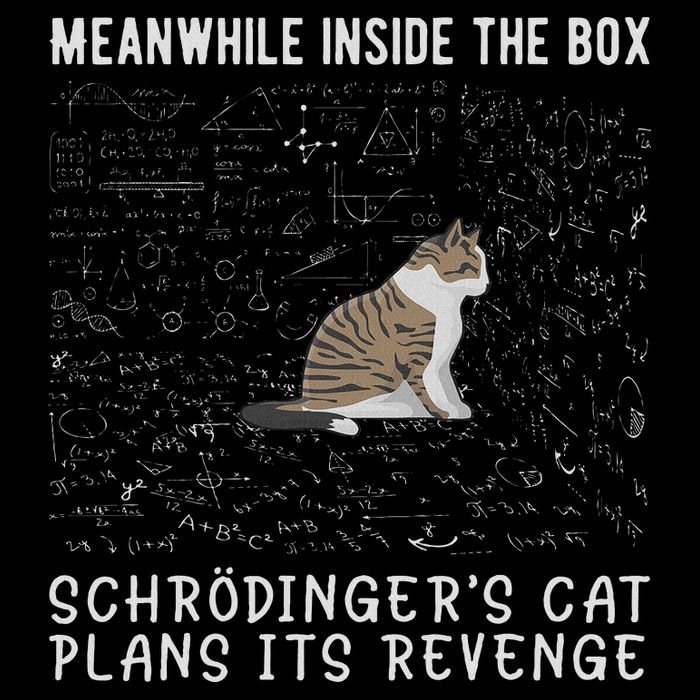 Meanwhile Inside The Box Schrödingers Cat Plans Its Revenge 7-Panel Snapback Hat