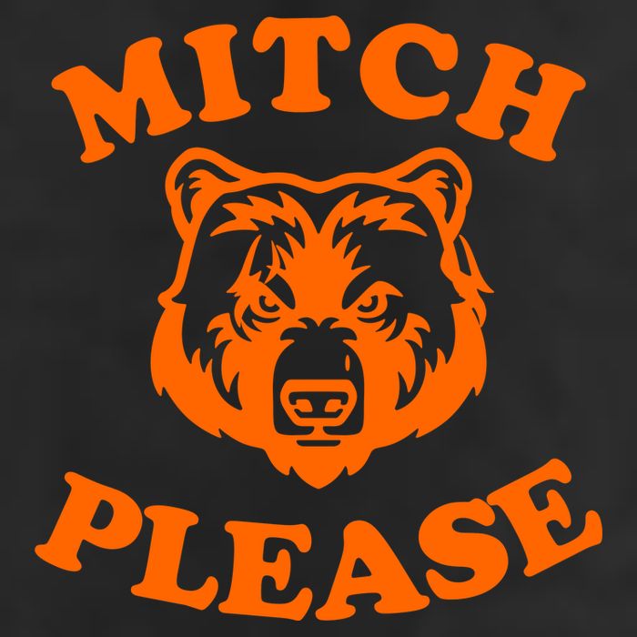 Mitch Please Bear Logo Adult Drive Performance Visor
