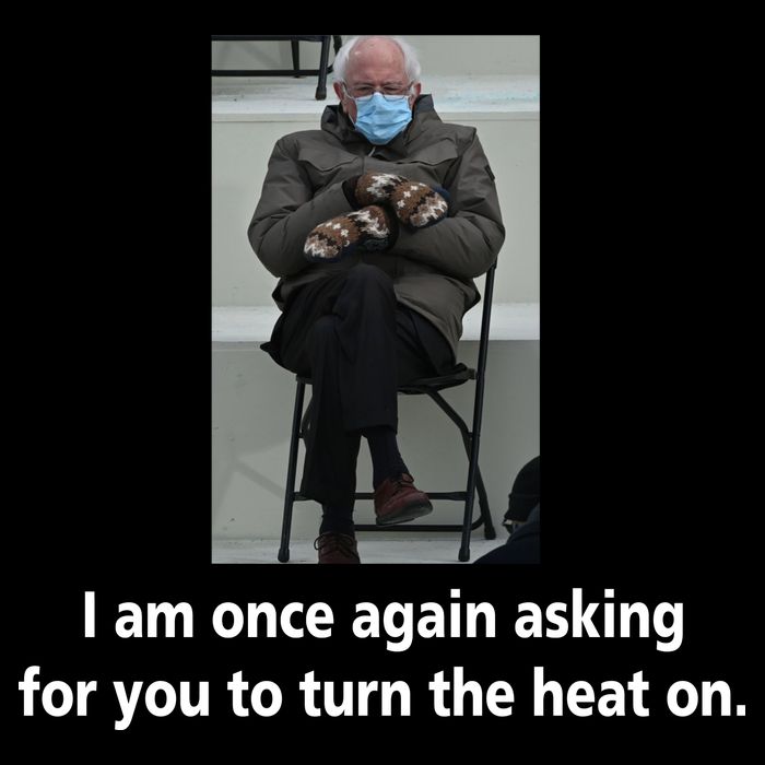 Mittens Bernie Sanders Inauguration Turn On The Heat Apron
