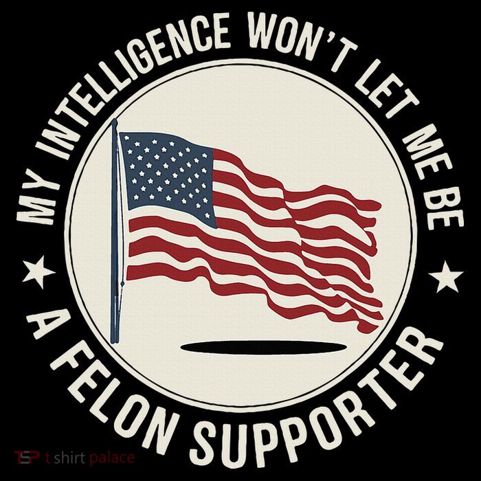 My Intelligence WonT Let Me Be A Felon Supporter Sweatshirt