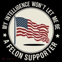 My Intelligence WonT Let Me Be A Felon Supporter T-Shirt