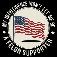 My Intelligence WonT Let Me Be A Felon Supporter Button