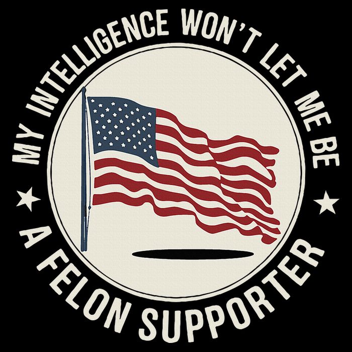 My Intelligence WonT Let Me Be A Felon Supporter Button