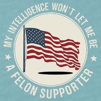 My Intelligence WonT Let Me Be A Felon Supporter Sueded Cloud Jersey T-Shirt