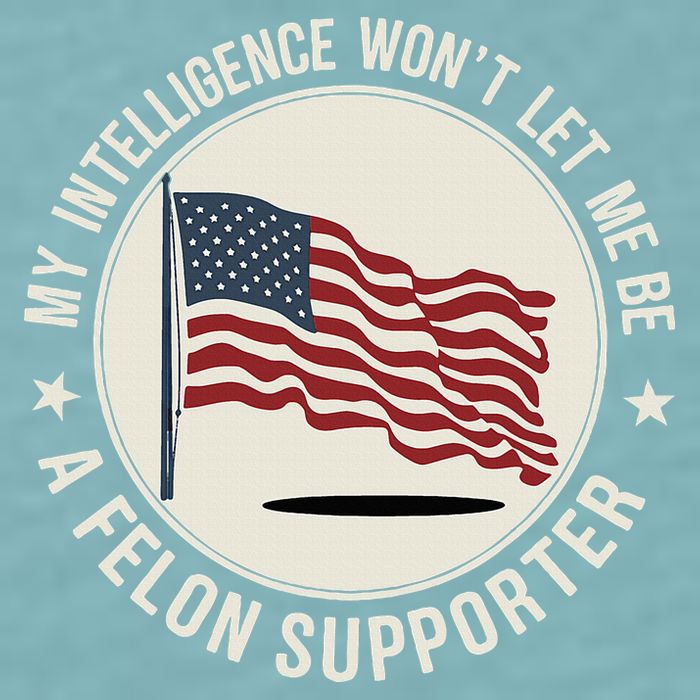 My Intelligence WonT Let Me Be A Felon Supporter Sueded Cloud Jersey T-Shirt
