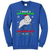 Math I Want A Hippopotenuse For Christmath Ugly Sweater Xmas Gift Sweatshirt