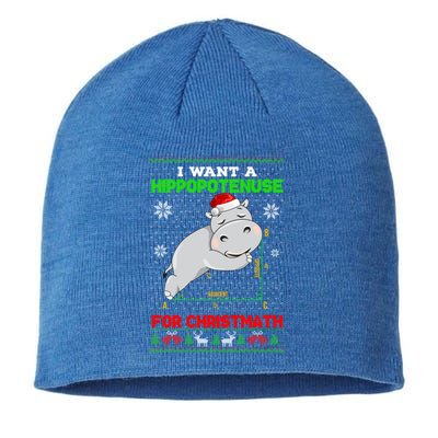 Math I Want A Hippopotenuse For Christmath Ugly Sweater Xmas Gift Sustainable Beanie