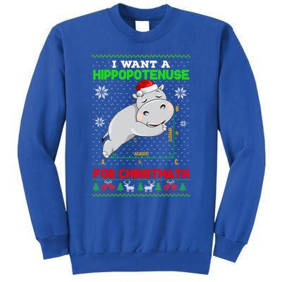 Math I Want A Hippopotenuse For Christmath Ugly Sweater Xmas Gift Tall Sweatshirt