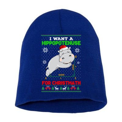 Math I Want A Hippopotenuse For Christmath Ugly Sweater Xmas Gift Short Acrylic Beanie