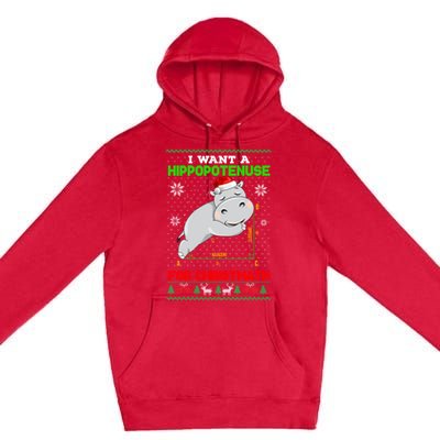 Math I Want A Hippopotenuse For Christmath Ugly Sweater Xmas Gift Premium Pullover Hoodie