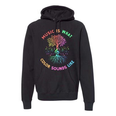 Music Is What Color Sounds Like Premium Hoodie