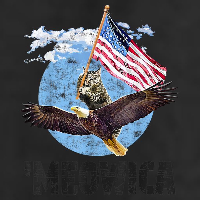 Meowica July 4h Funny Cat Bald Eagle American Flag Cool Comfort Performance Bucket Hat