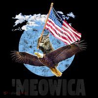 Meowica July 4h Funny Cat Bald Eagle American Flag Women's V-Neck T-Shirt