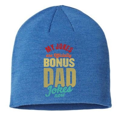 My Jokes Are Ly Bonus Dad Jokes Now Gift Stepfather Meaningful Gift Sustainable Beanie