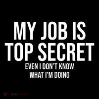 My Job Is Top Secret Poster