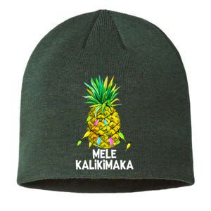 Mele Kalikimaka Pineapple Christmas Lights Sustainable Beanie