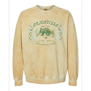 Miranda Lambert Armadillo Colorblast Crewneck Sweatshirt