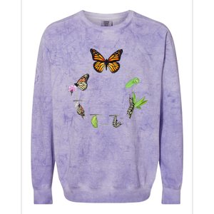 Monarch Life Cycle Butterfly Caterpillar Gift Colorblast Crewneck Sweatshirt