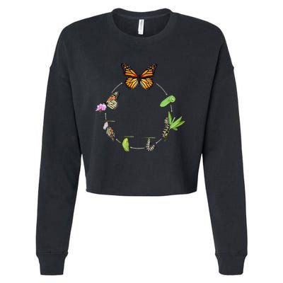 Monarch Life Cycle Butterfly Caterpillar Gift Cropped Pullover Crew