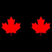 Maple Leaf Canada Day Canadian Flag 16 in Basic Backpack