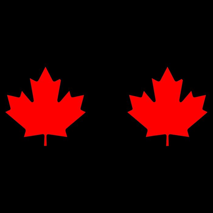 Maple Leaf Canada Day Canadian Flag 16 in Basic Backpack