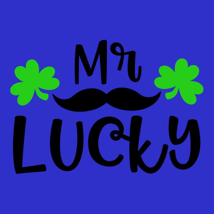 Mr Lucky Cute Gift T-Shirt