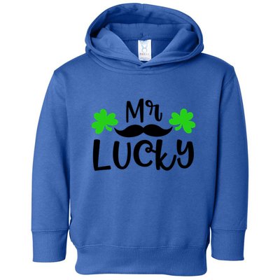 Mr Lucky Cute Gift Toddler Hoodie