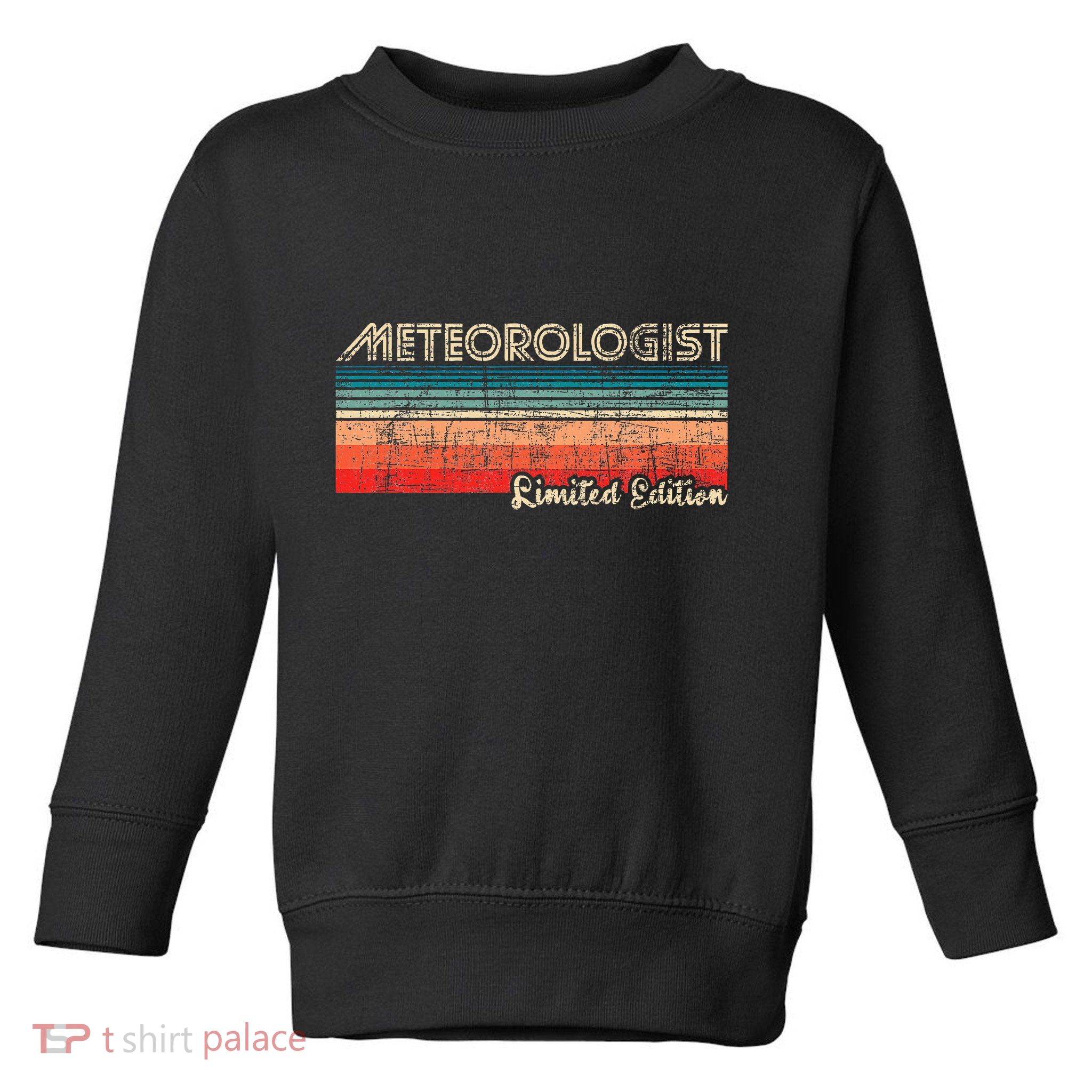 Meteorologist Limited Edition Retro Weather Meteorology Toddler Sweatshirt