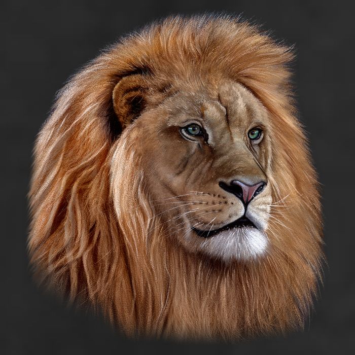 Majestic Lion Head Adult Drive Performance Visor