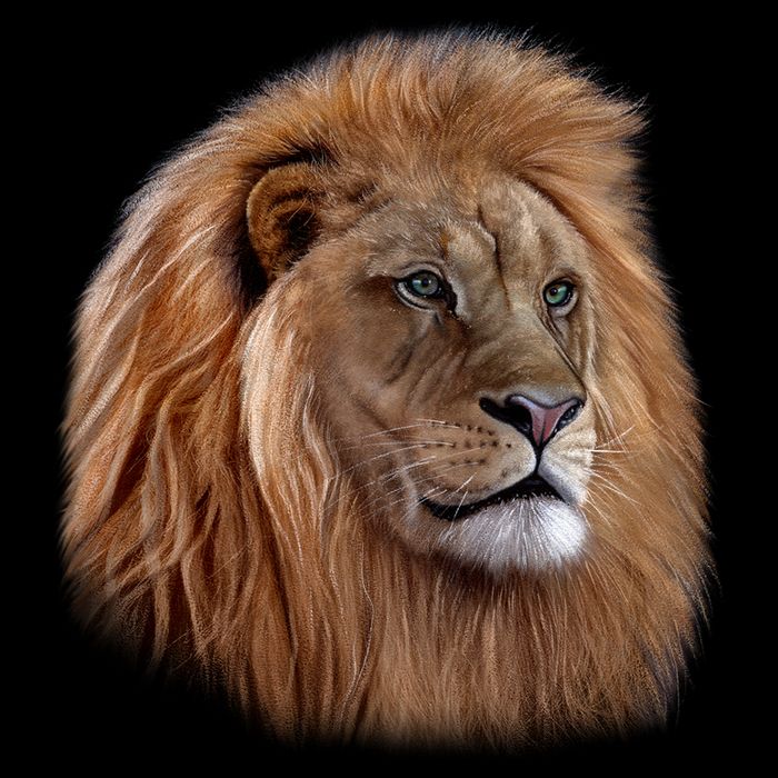 Majestic Lion Head 16 in Basic Backpack