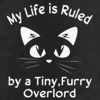 My Life Is Ruled By A Tiny Furry Overlord Funny Cat Tee Gift Beanie