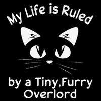 My Life Is Ruled By A Tiny Furry Overlord Funny Cat Tee Gift Mesh Reversible Basketball Jersey Tank