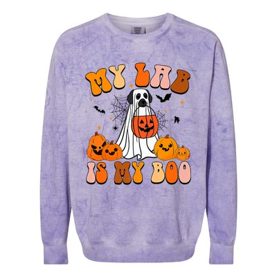 My Lab Is My Boo Dog Ghost Dog Halloween Retro Labrador Mama Gift Colorblast Crewneck Sweatshirt