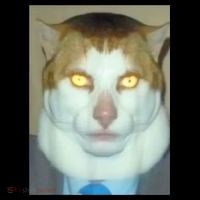 Monday Left Me Broken Cat Button