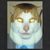 Monday Left Me Broken Cat Large Microfiber Waffle Golf Towel