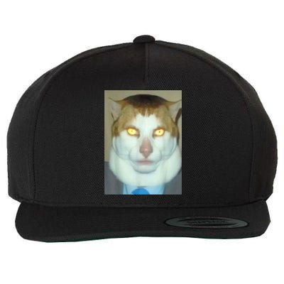 Monday Left Me Broken Cat Wool Snapback Cap