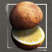 Mars Lemon Cotton Canvas Backpack