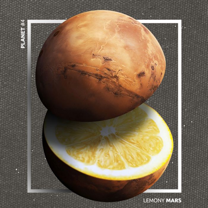 Mars Lemon Cotton Canvas Backpack
