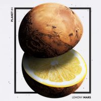 Mars Lemon Garment-Dyed Sweatshirt