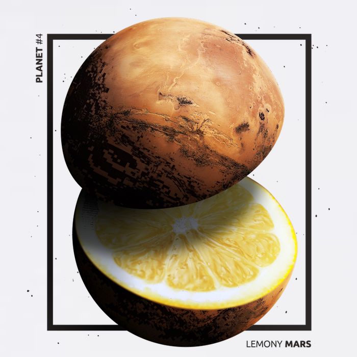 Mars Lemon Garment-Dyed Sweatshirt