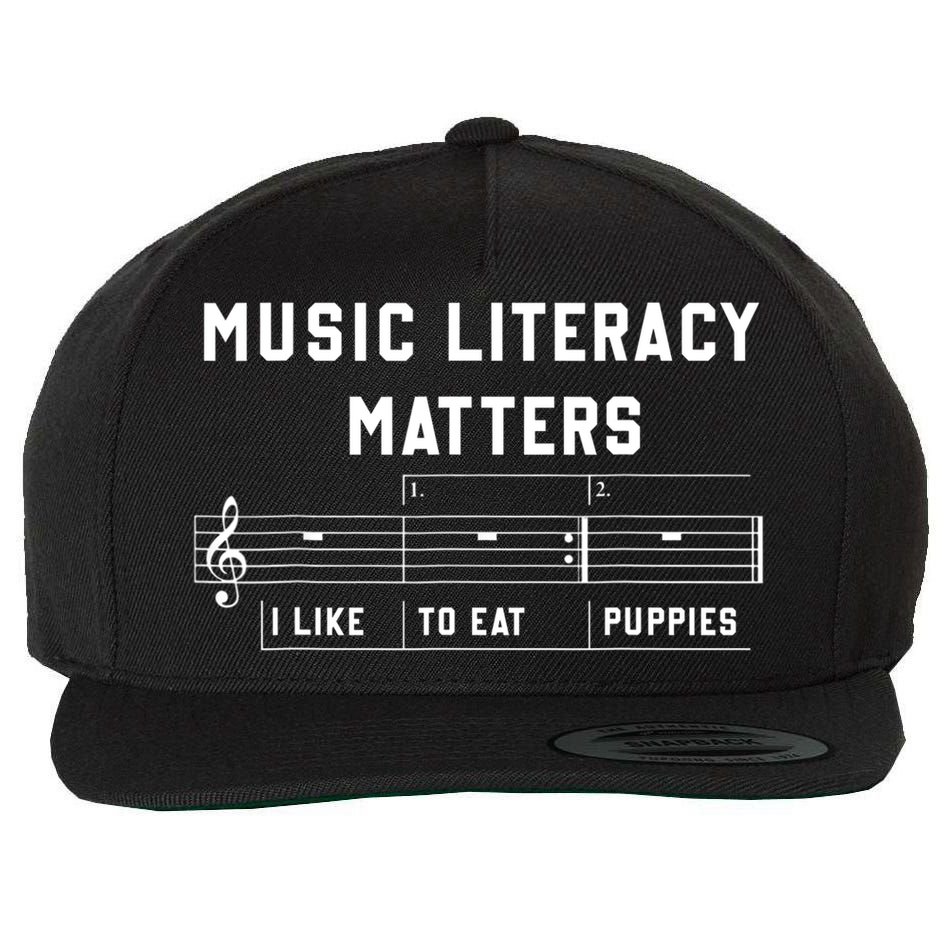 Music Literacy Matters I Like To Eat Puppies Wool Snapback Cap