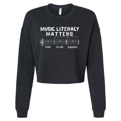 Music Literacy Matters Cropped Pullover Crew