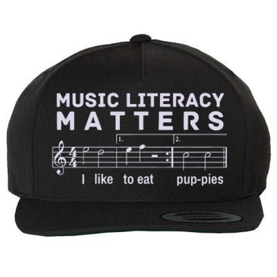 Music Literacy Matters Puppies Song Wool Snapback Cap