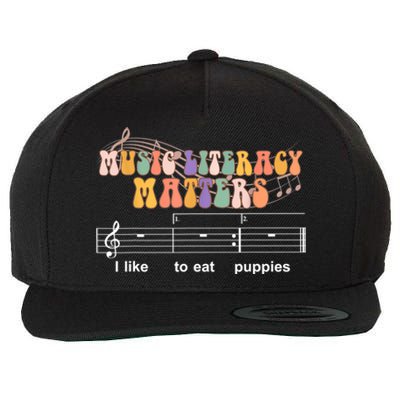 Music Literacy Matters I Like To Eat Puppies Funny Wool Snapback Cap